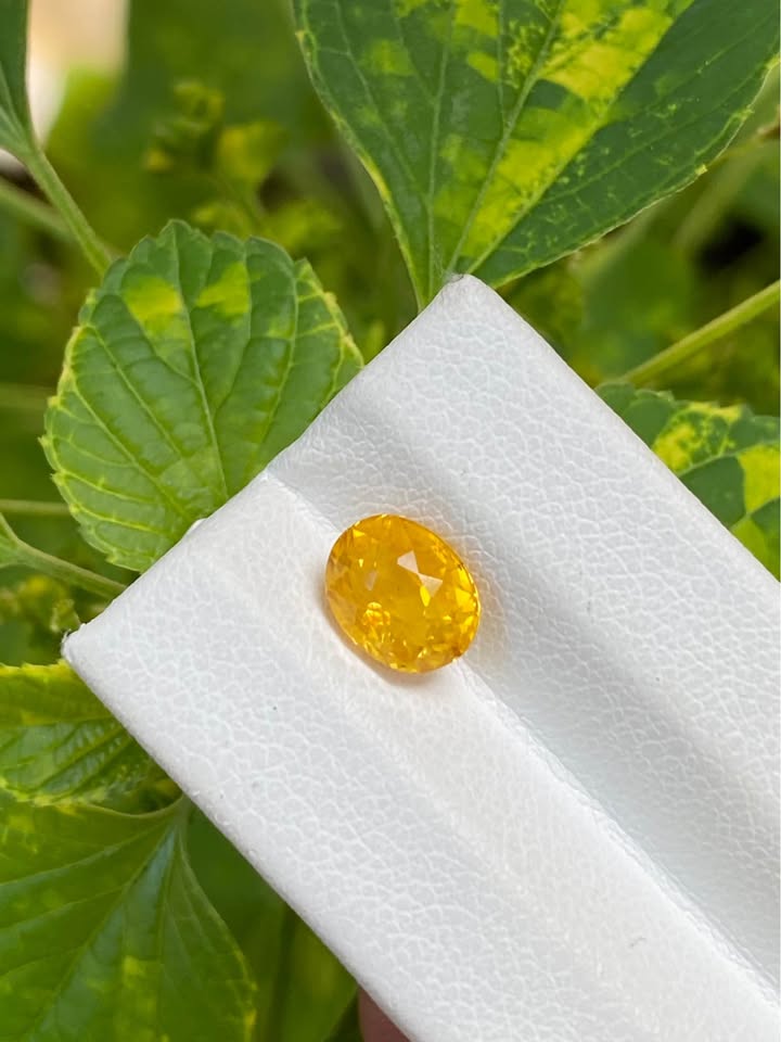 Vivid Golden Yellow Sapphire 3.07ct